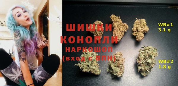 Альфа ПВП Магас