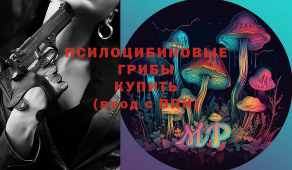 гашик Лиски